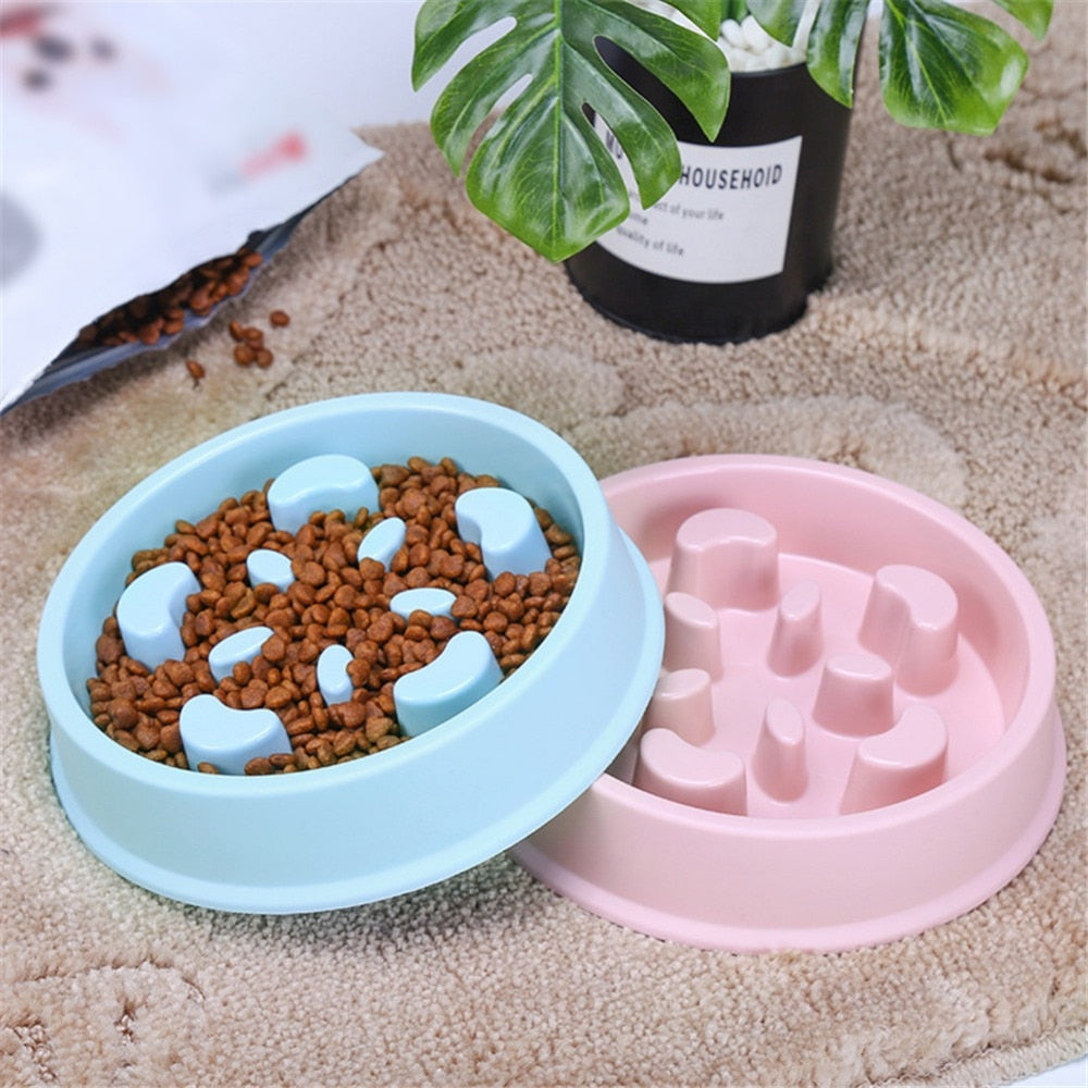 Anti-Choking Slow Feeding Puzzle Pet Bowl