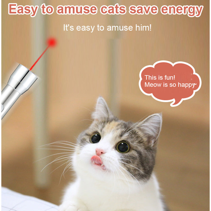 Rechargeable Stainless Steel Cat Laser Toy with White Light, Purple Light and Red Laser