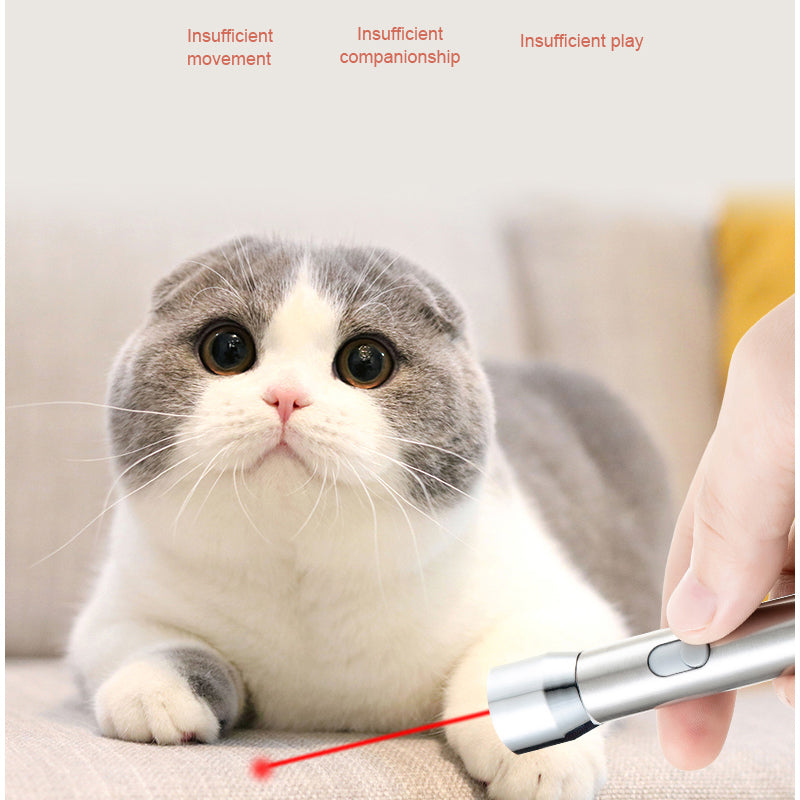 Rechargeable Stainless Steel Cat Laser Toy with White Light, Purple Light and Red Laser